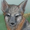 custom by #6174: Now your doggies can protect the endangered grey fox!