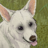 custom by #5432: Turn your Corgi into Valo! Art by Cord, #5983. *Corgi Version, meaning this only fits Corgis.*