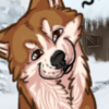 custom by #21805: Is your Shiba Inu getting lonely? Here\'s a new companion that is sure to fix that! (works with all breeds, not only Shiba Inu) custom by #21805: Is your Shiba Inu getting lonely? Here\'s a new companion that is sure to fix that! (works with all breeds, not only Shiba Inu)