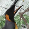 custom by #5983: A king penguin is calling.