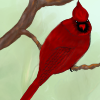 A beautiful Christmas Cardinal perched contently on a bare winter branch. Christmas 2010. A beautiful Christmas Cardinal perched contently on a bare winter branch. Christmas 2010.