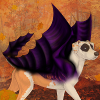 custom by #33: Part of the Flight of Fancy wing collection. For use on Catahoulas. custom by #33: Part of the Flight of Fancy wing collection. For use on Catahoulas.