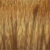Blurred from focus, these shadowy stalks make for an excellent sense of perspective for the Hay Field Background for which they were made.