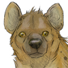 Custom hyena companion