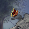 Fluttering friends for your dog! Fluttering friends for your dog!
