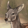 custom by #11549: A lovely tiny Musk Deer!