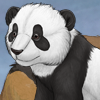 An adorable plushie panda to play with! An adorable plushie panda to play with!