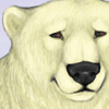 custom by #69: The world\'s largest land carnivore and the largest bear, as well as a key figure in the material, spiritual, and cultural life of Arctic indigenous people. The Polar Bear is a very beautiful and majestic creature, and this guy in particular is sure to warm your heart!