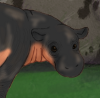 custom by #196: Aaw! So cute!! So small! custom by #196: Aaw! So cute!! So small!