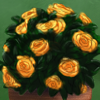 Some lovely roses for your flower pot.