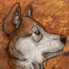 custom by #16934: A proud Shiba Inu for all of you! Invisible huskies only. custom by #16934: A proud Shiba Inu for all of you! Invisible huskies only.