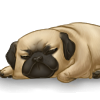 custom by #2445: A fat, lazy little pug. Happy birthday Komi!