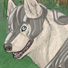 Protective armor for the canine defenders of all that is good and innocent! Protective armor for the canine defenders of all that is good and innocent!