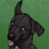 custom by #26840: Allie\'s derpy mutt, Bella. Drawn for me by the wonderful Savane (#27180).