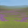 A wide open field for running and playing! A wide open field for running and playing!