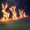 Fires are set to deer-shaped structures.