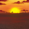 The radiant sun slides slowly down on the African horizon, and all the nocturnal hunters will soon be on the prowl. The radiant sun slides slowly down on the African horizon, and all the nocturnal hunters will soon be on the prowl.