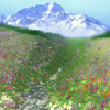 The fresh alpine air is full of the scent of blooming flowers.