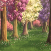 A gorgeous forest of blossoming trees.