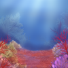 These elaborate reefs provide shelter for many underwater species.
