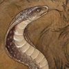 With venom that can both kill and heal, the cobra is a powerful and symbolic creature that commands respect. This serpent grants your dog +2 health every half hour.