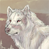 Custom companion for #11549; Art by Carnivale #6; +1.0 Drive Once a Day.