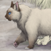 This kitty sure looks friendly. +.01 Speed every 5th hour This kitty sure looks friendly. +.01 Speed every 5th hour