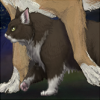This kitty sure looks friendly. +.01 Speed every 5th hour This kitty sure looks friendly. +.01 Speed every 5th hour