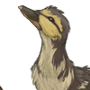 The second duck companion in the series. +2 Mood every 30 minutes