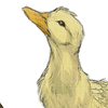 The third duck companion in the series. +2 Mood every 30 minutes