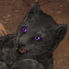 Custom companion for #5; Art by Xylax #11549; +5 energy per 30 minutes. 