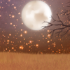 A full moon rises on Halloween! A full moon rises on Halloween!