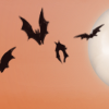 Spooky bats for your yard!